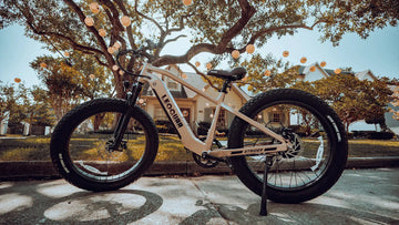 Heavy Duty Electric Bike: Your Ultimate Load Carrier