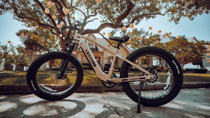 Heavy Duty Electric Bike: Your Ultimate Load Carrier