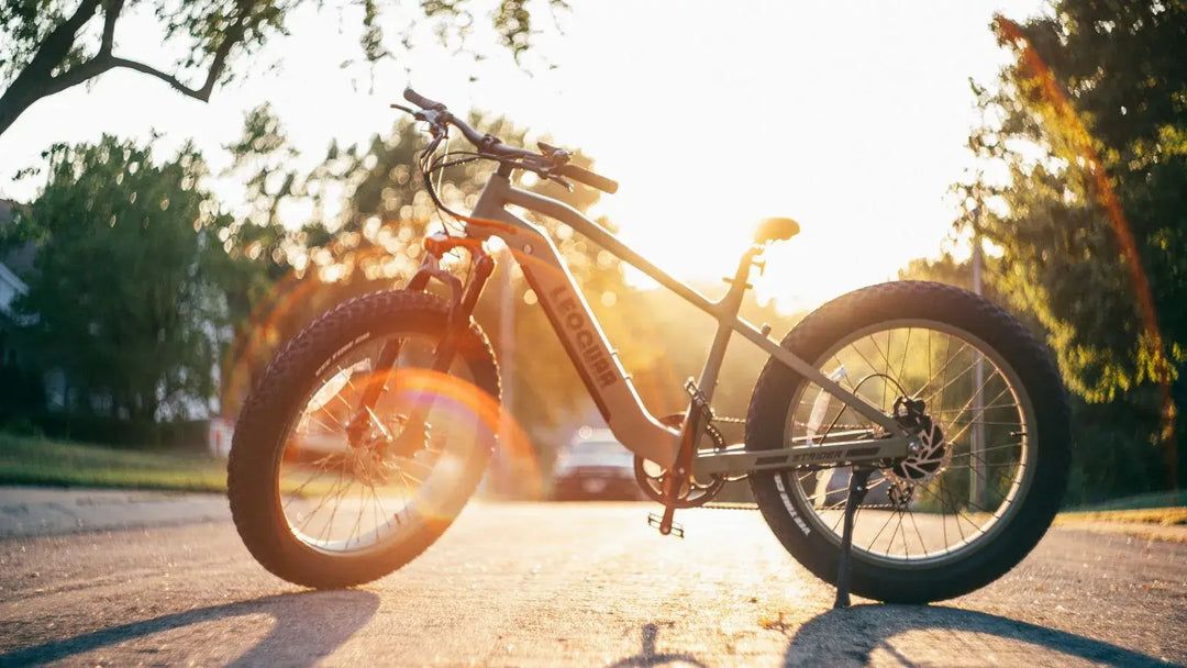 Fat Tire vs. Mountain Electric Bikes: What You Need to Know Before You Buy