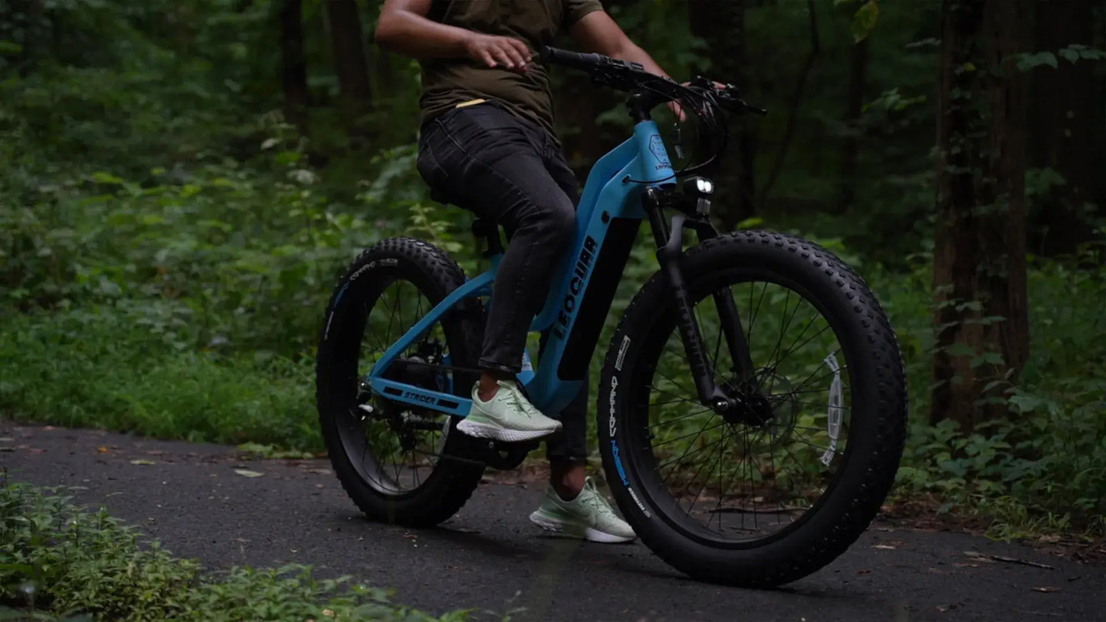 Class Electric Bike