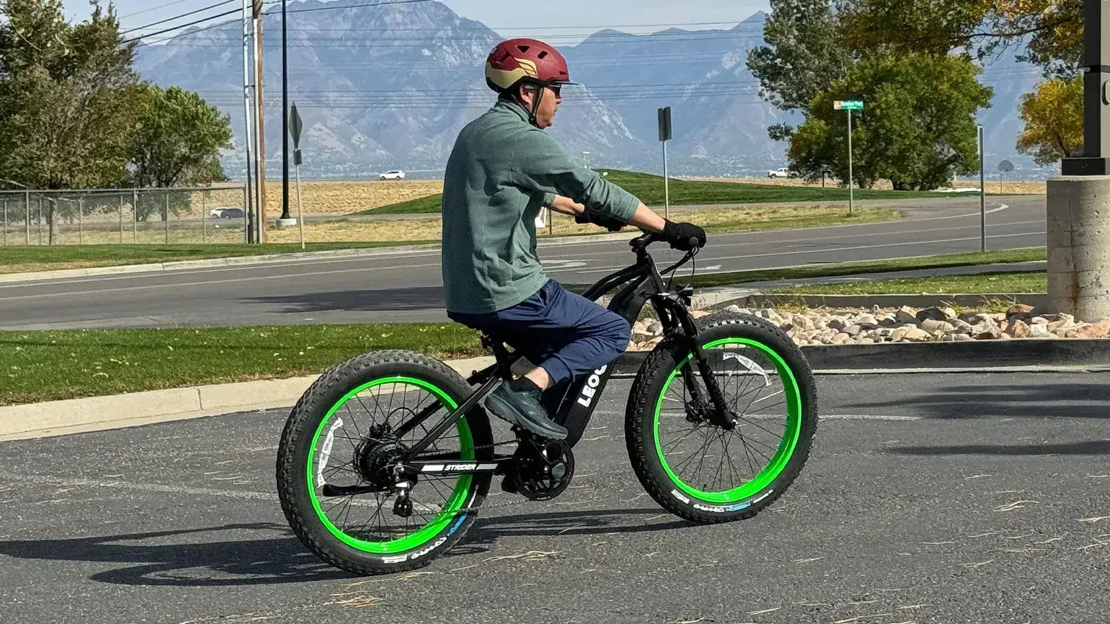 Leoguar Ebikes