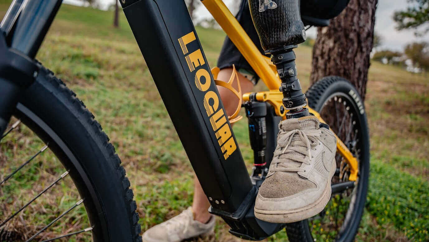 Leoguar Ebikes