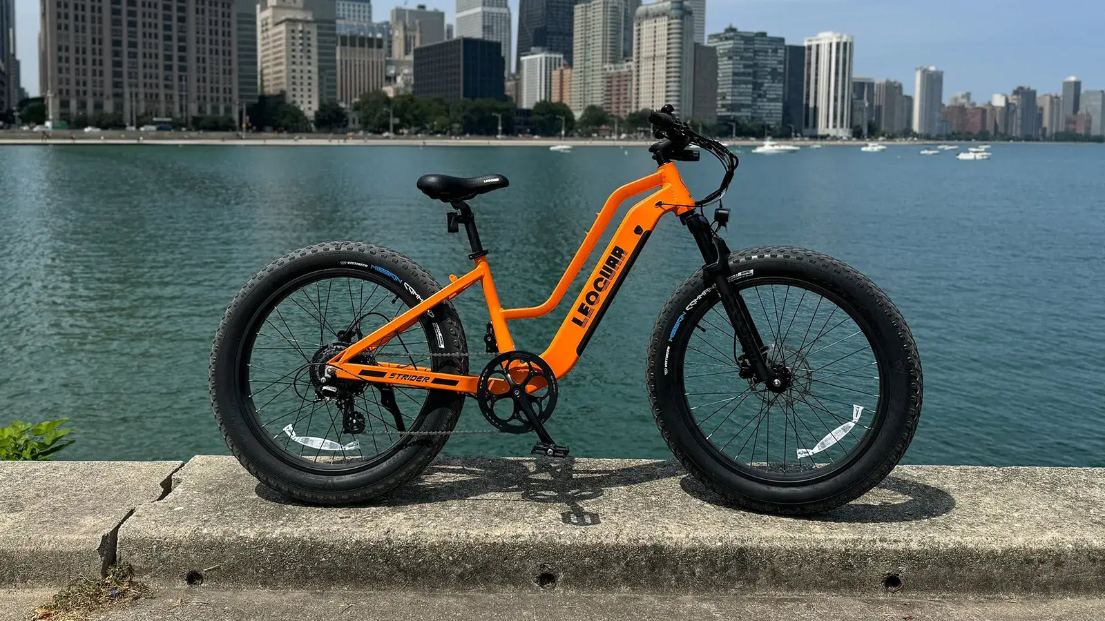 Electric bike with large tires parked by the water, highlighting electric bike battery placement options.