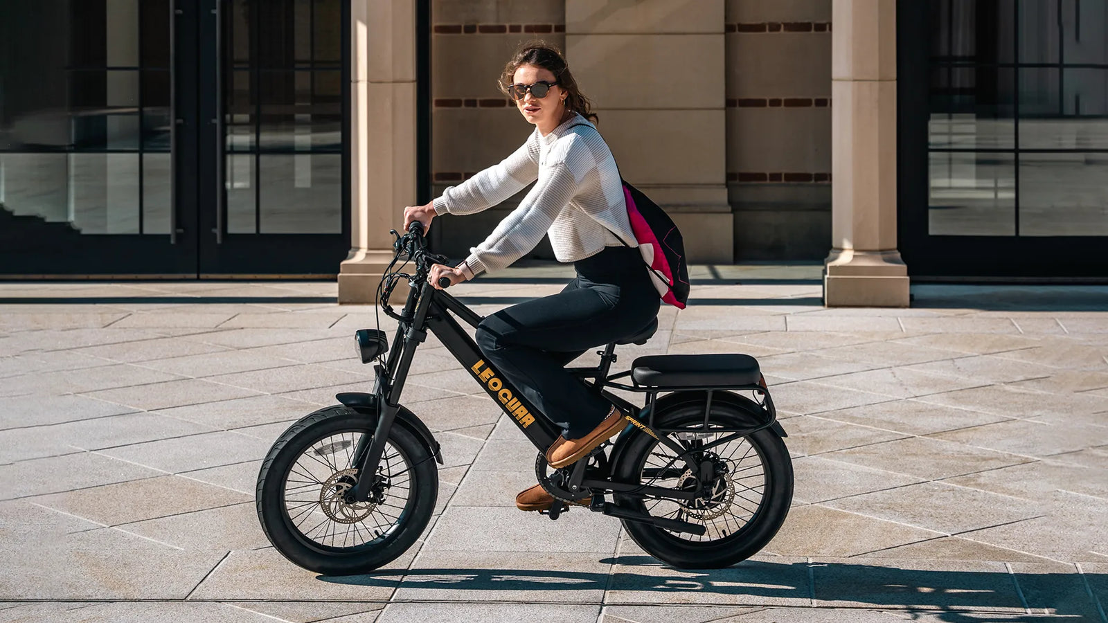 Sprint Utility Ebike