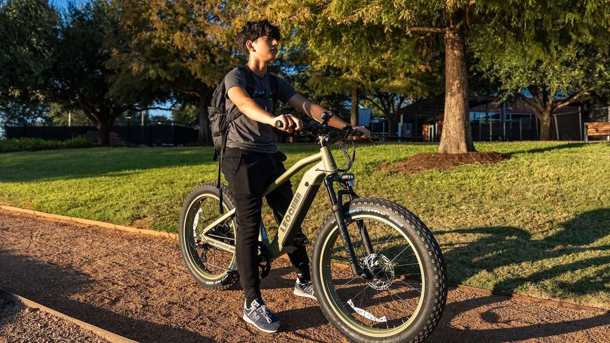 Leoguar Ebikes