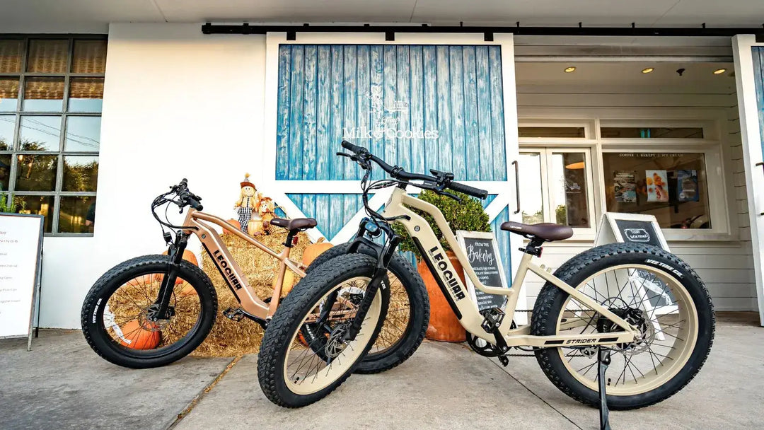 Electric Bike for Big Guys: 7 Stress Points to Check Before Buying
