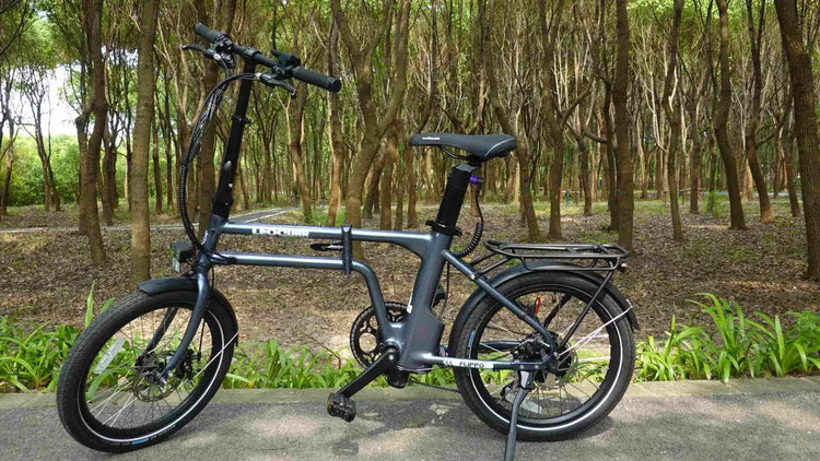 Electric Bicycle New York & Florida: Complete Guide