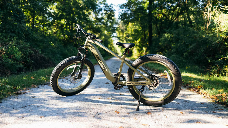 Electric Bike Brands: Why Leoguar Leads the Market
