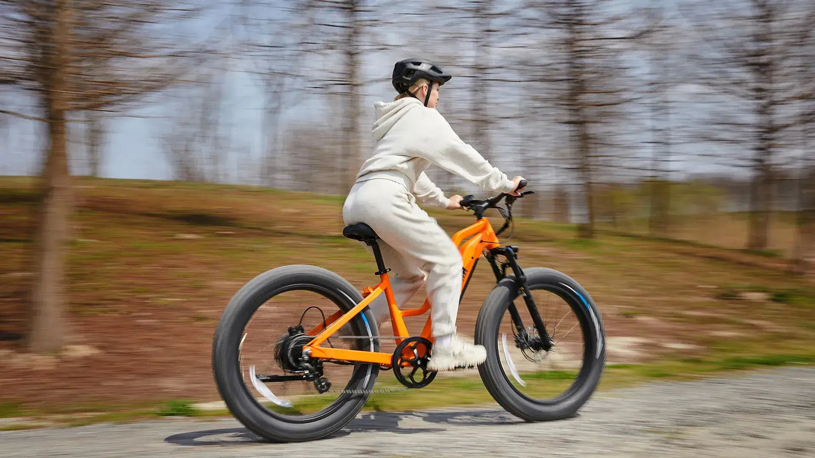 750W Electric Bicycle