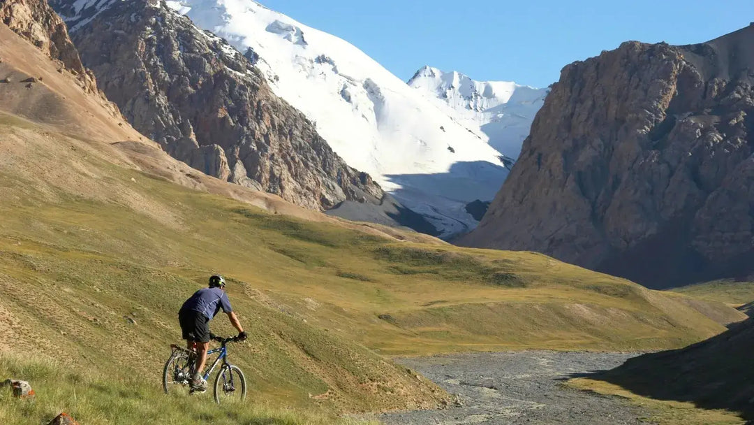 Throttle Control 101: A Beginner's Guide to Ebike Acceleration