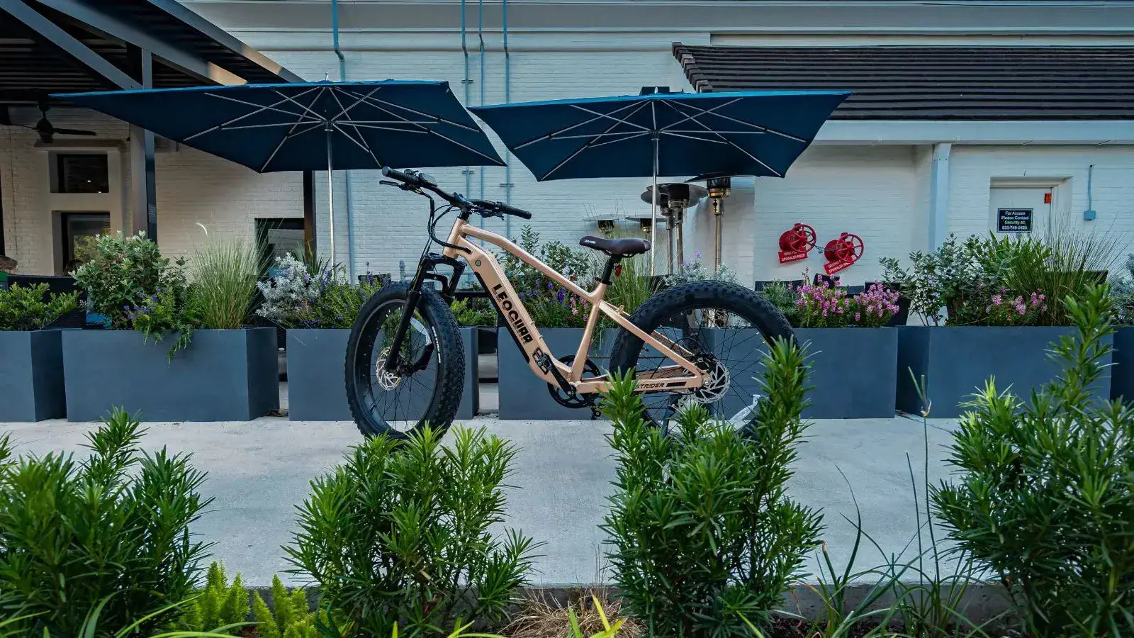 Leoguar Ebikes