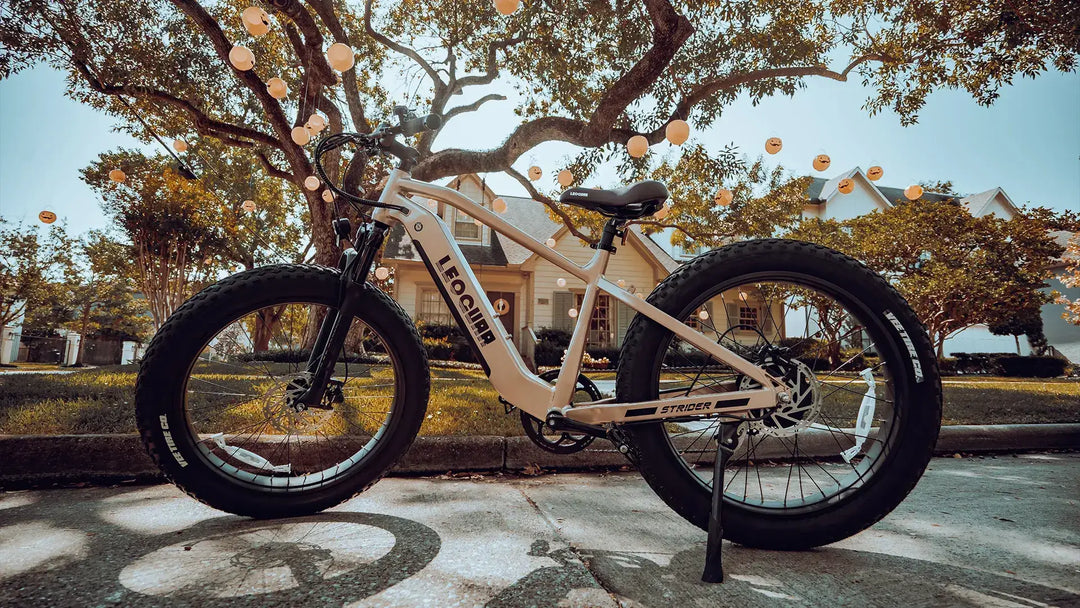 Heavy Duty Electric Bike: Your Ultimate Load Carrier