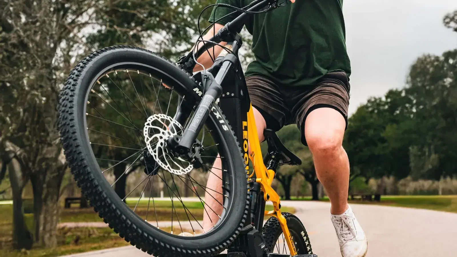 Full Sspension Seatpost Ebike
