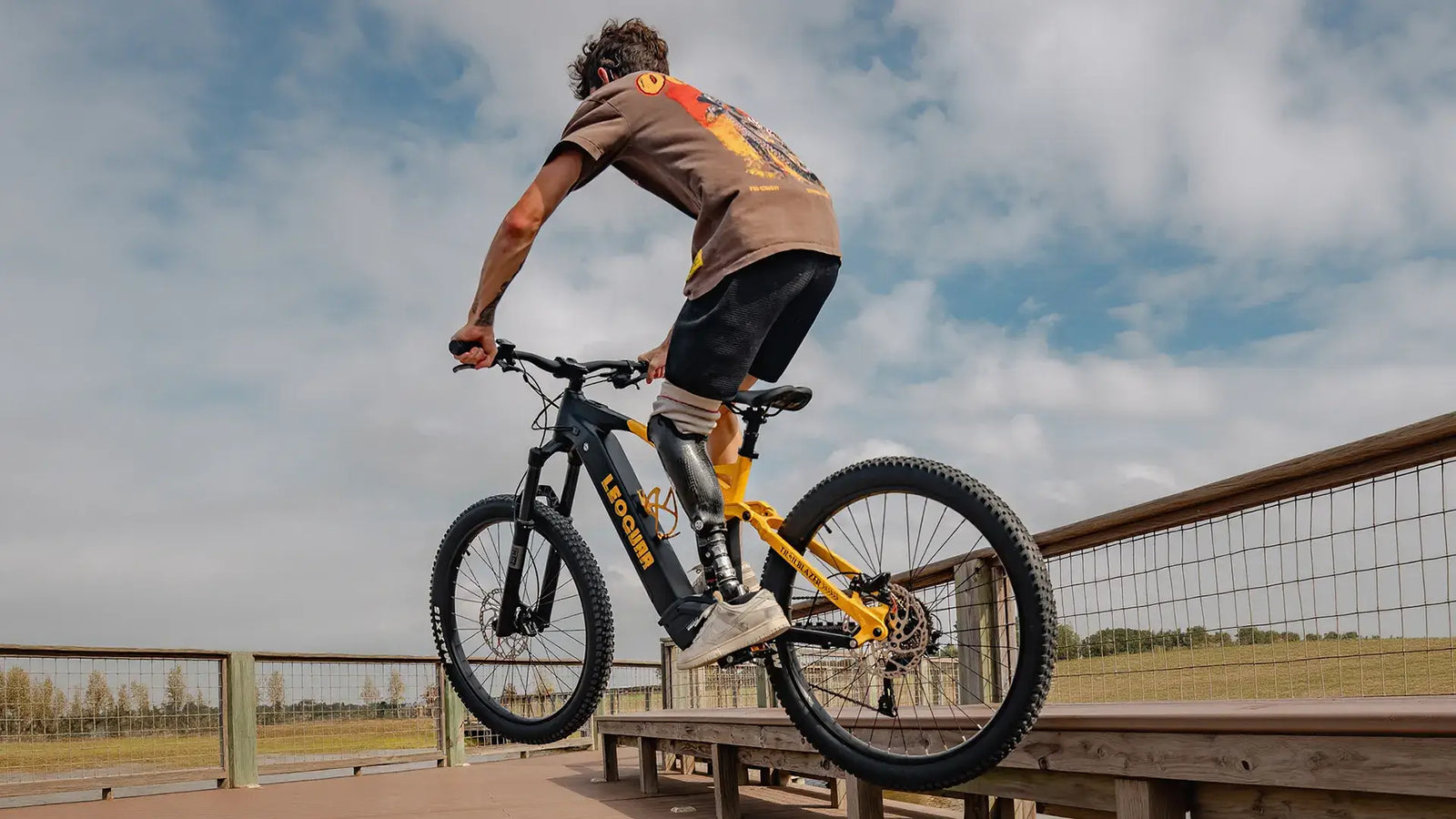Electric Mountain Bikes