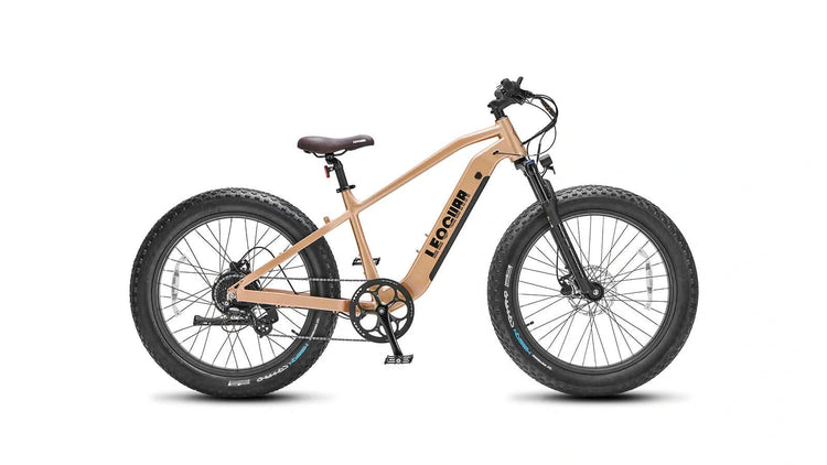 Is Bike Frame Protection Worth It for Everyday E-Bike Use?