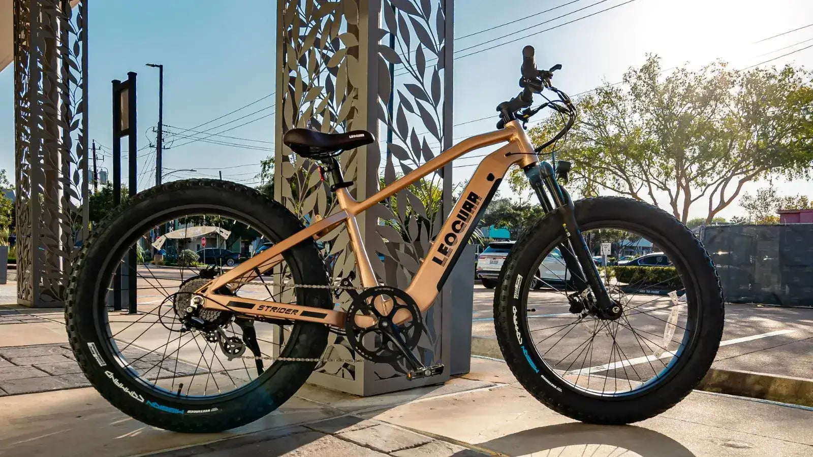Brown Leoguar electric bike parked outdoors near modern metal structures