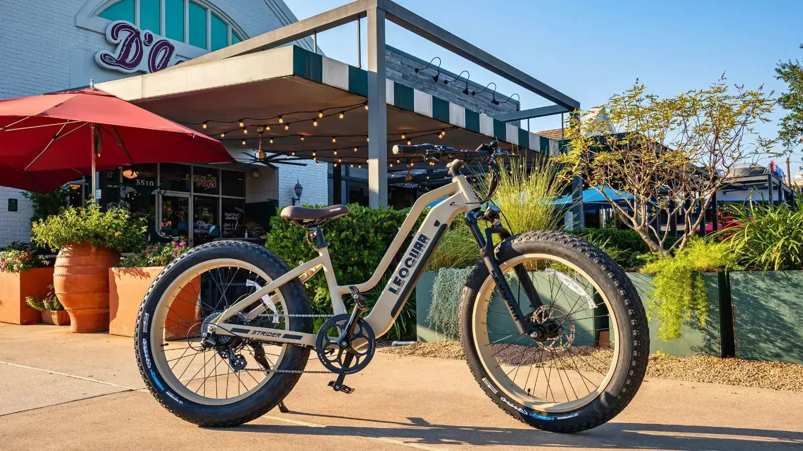 The Power and Versatility of the 1000W Electric Bike
