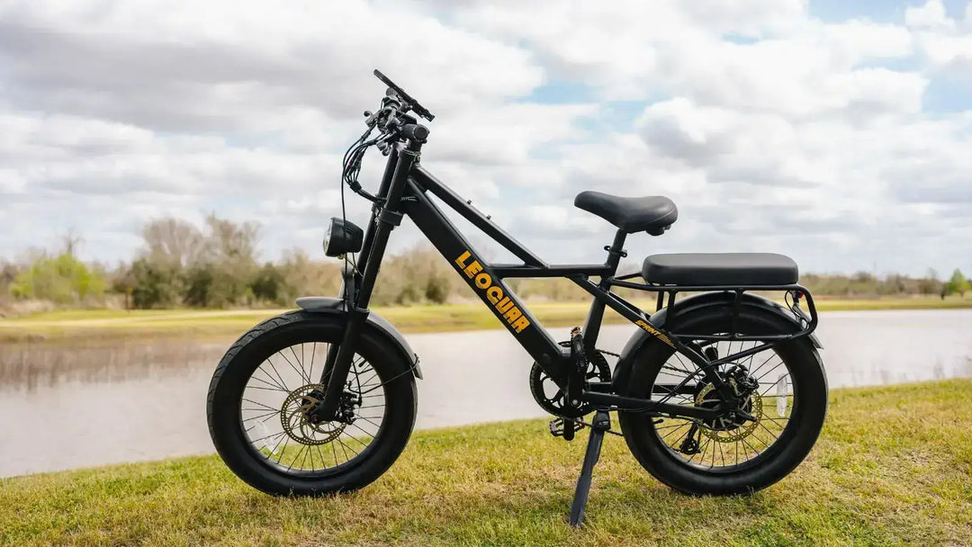 Best Bicycle Kickstand Guide: Ursus Stands for E-Bikes