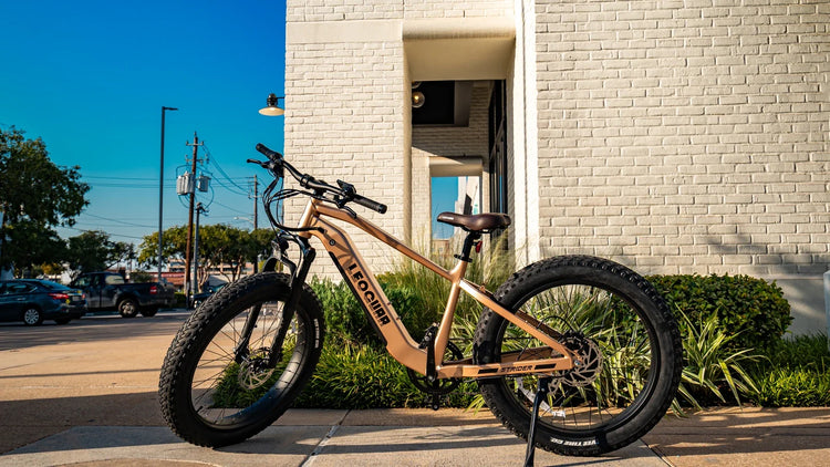 Is a Fat Tire E-Bike a Good Choice for Fall Riding?