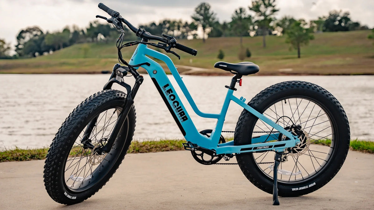 Leoguar Ebikes