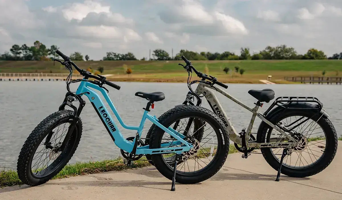 fat tire electric bike with a fender
