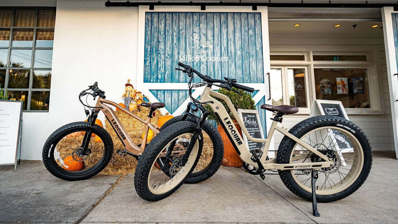 What Does 750 Watt Actually Mean on an Electric Bike?