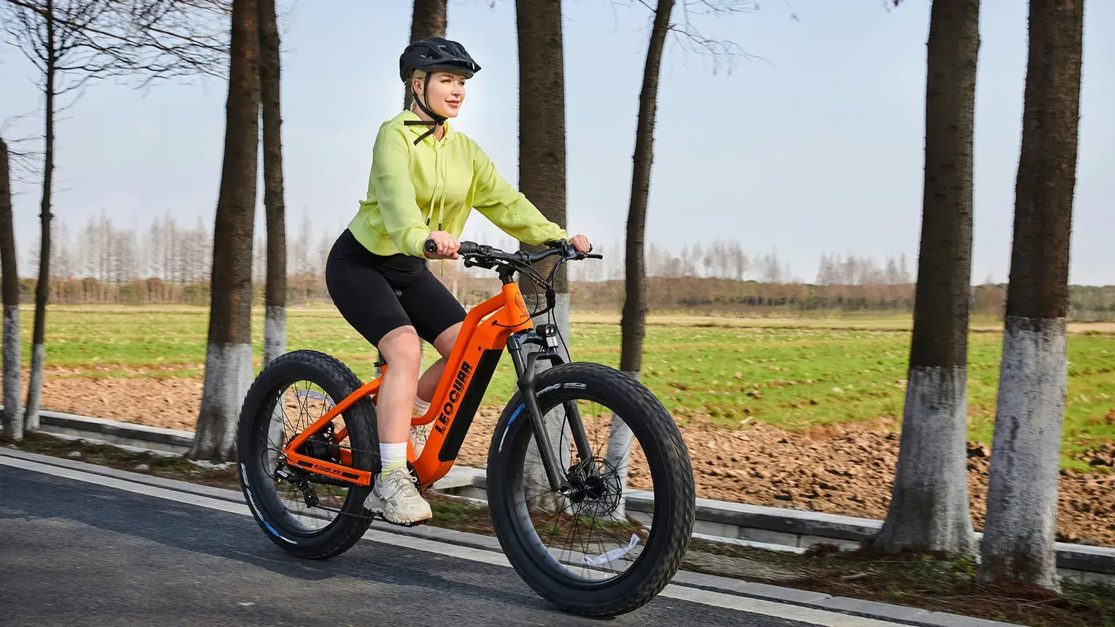 Leoguar Ebikes