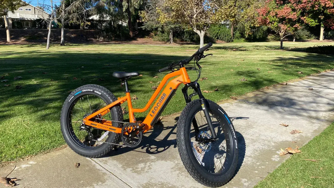 Ebike Class 2 Fat Tire With Hydraulic Brake: Best For Snow And Trails