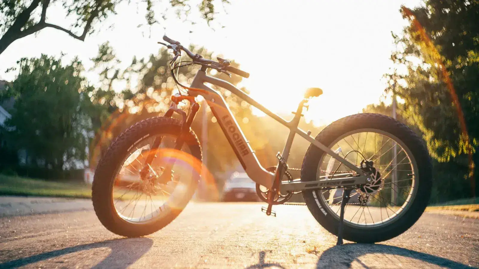 Leoguar Ebikes