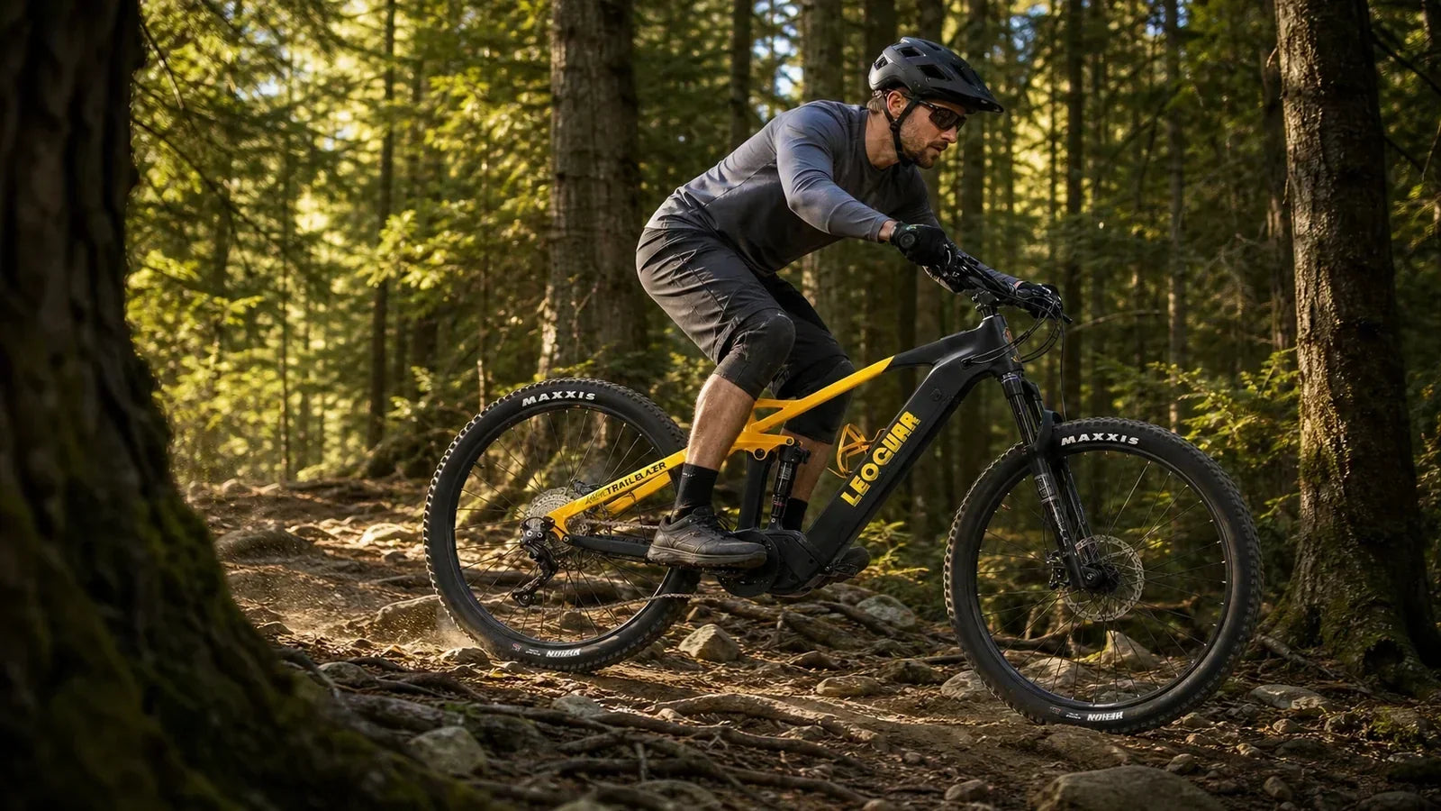 Leoguar Ebikes