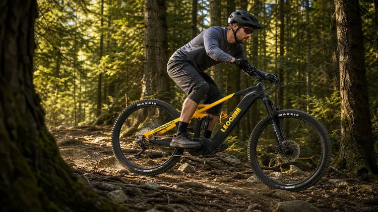 Electric Enduro Mountain Bike vs. Trail E-MTB: What Are the Differences?