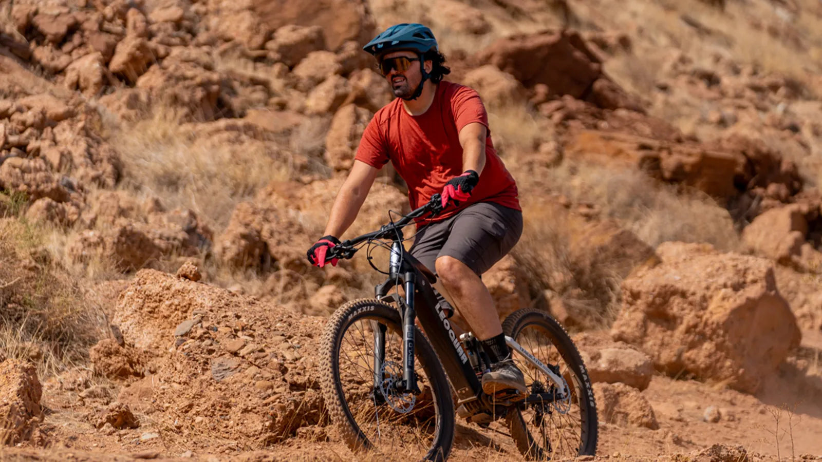 Electric Bike Store vs Online: Best Place to Buy Ebikes