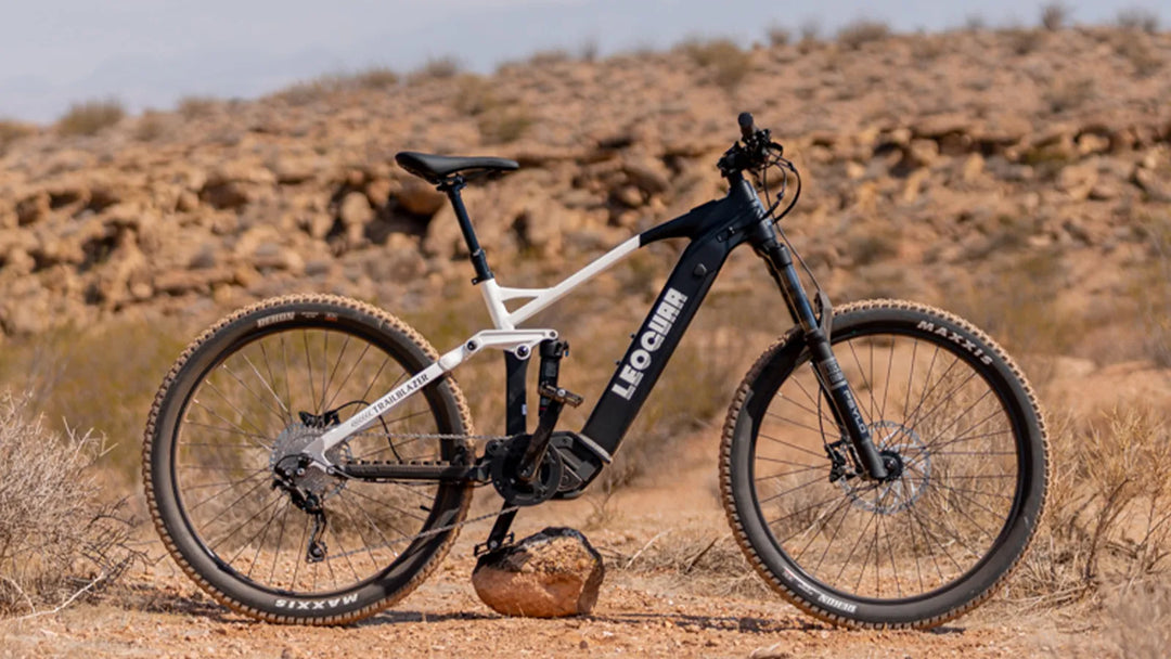 Electric Bike Store vs Repair Shop: Best EBike Maintenance