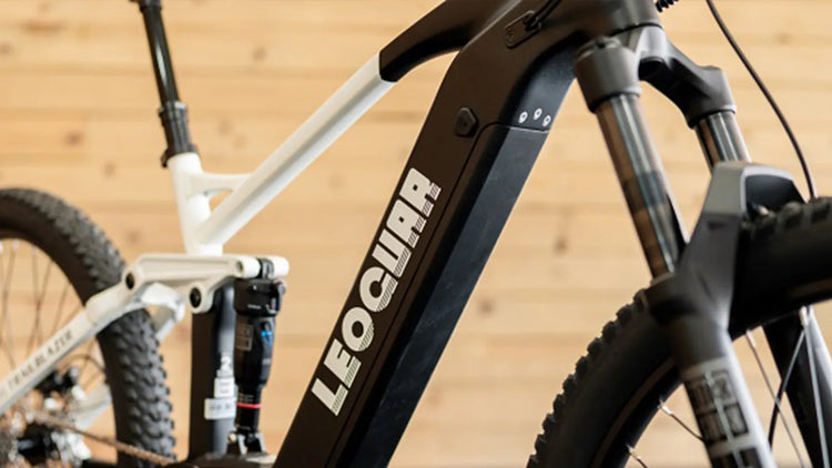 Best Electric Bike Brands 2025: Leoguar's Market Position