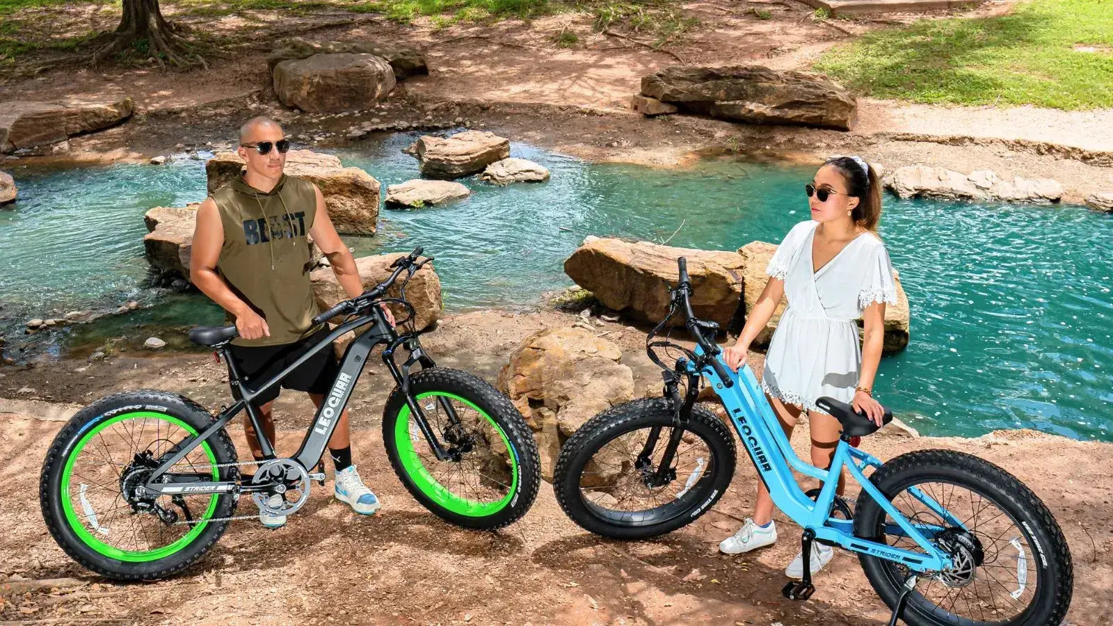 Leoguar Ebikes