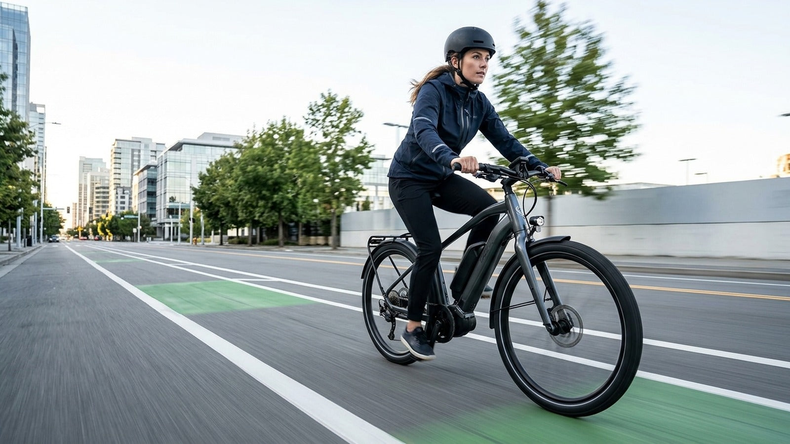 Leoguar Ebikes