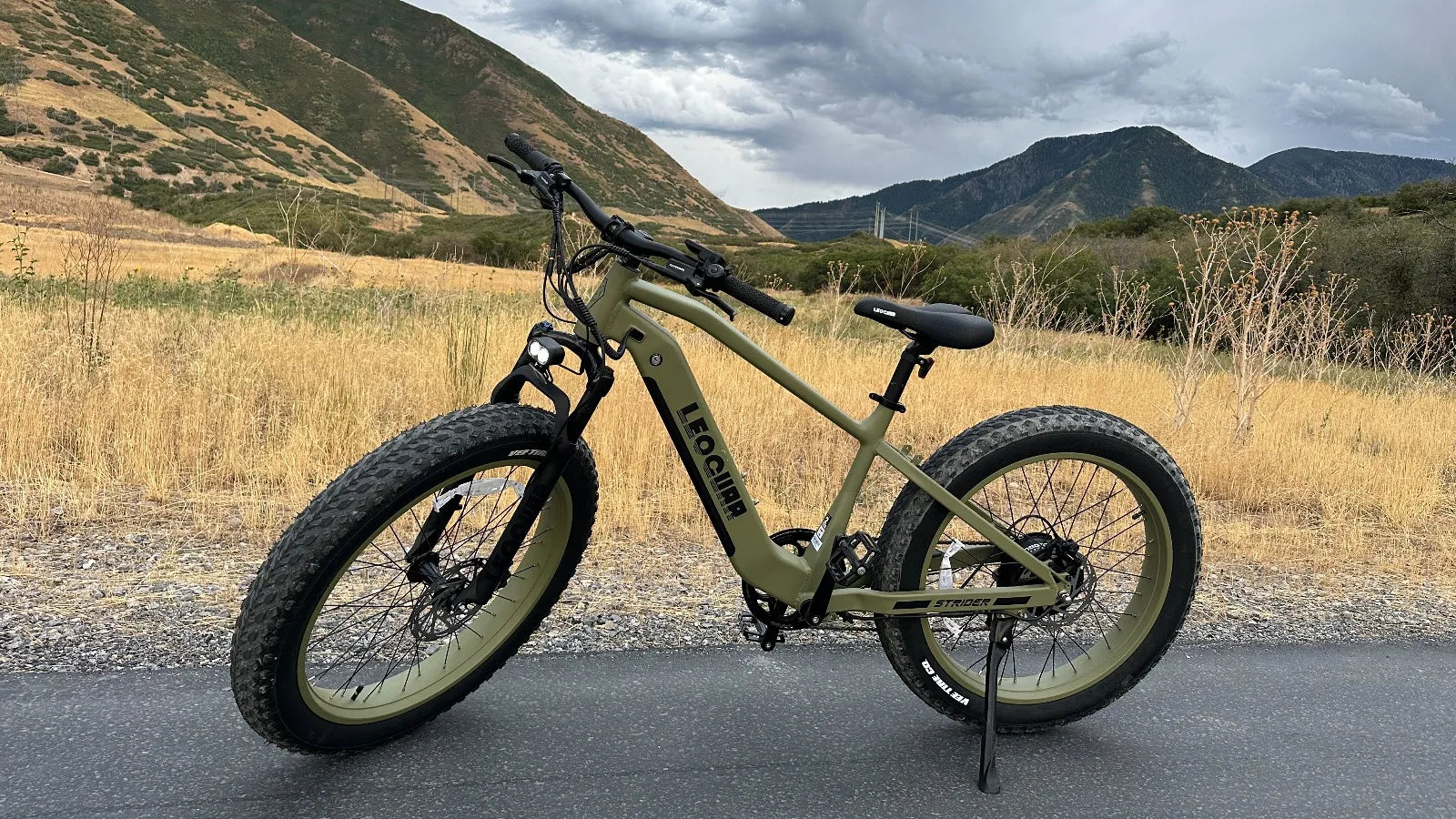 All Terrain Ebike