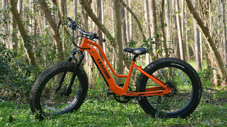 26x4 Fat Tire Bike: Do You Really Need Them on E-Bikes?