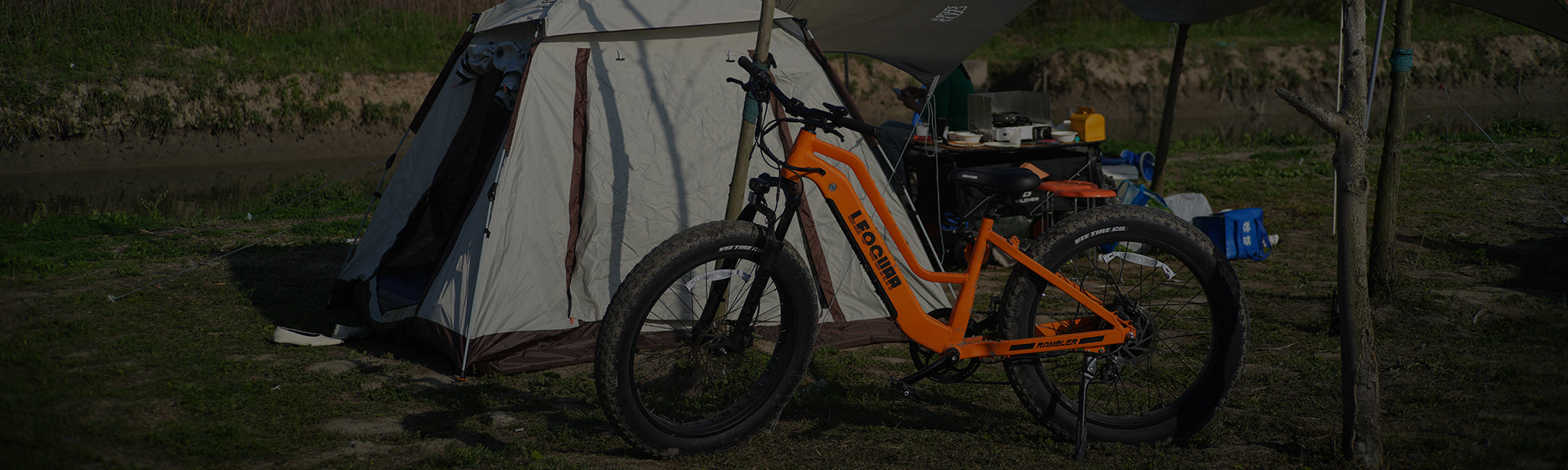 Leoguar Electric Bike Accessories