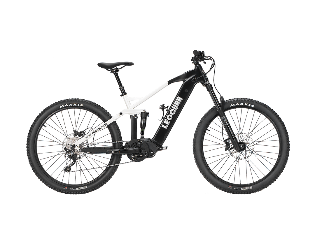 Trailblazer Mid-drive Motor EMTB1