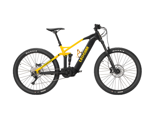 Trailblazer Mid-drive Motor EMTB1