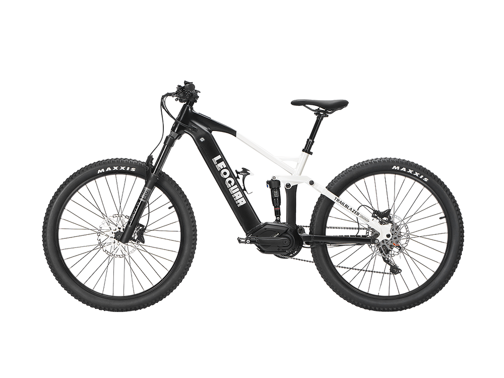 Trailblazer Mid-drive Motor EMTB1