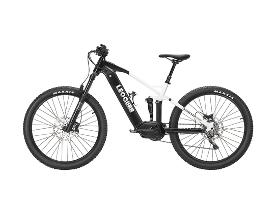 Trailblazer Mid-drive Motor EMTB1