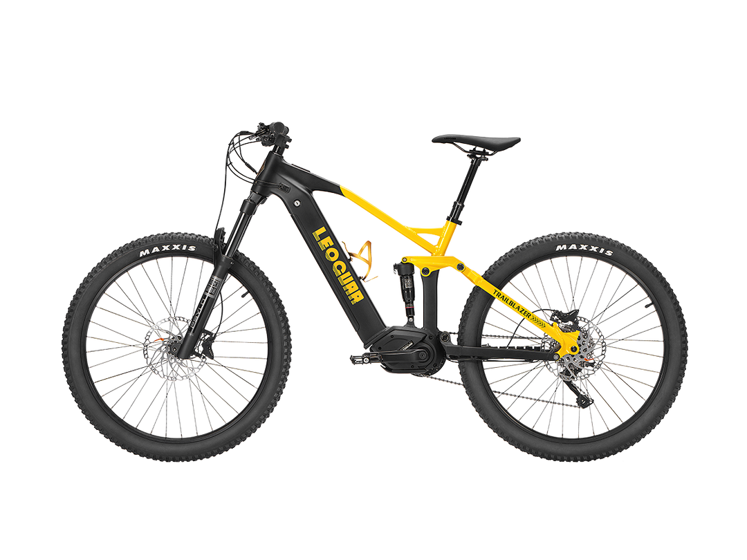 Trailblazer Mid-drive Motor EMTB1