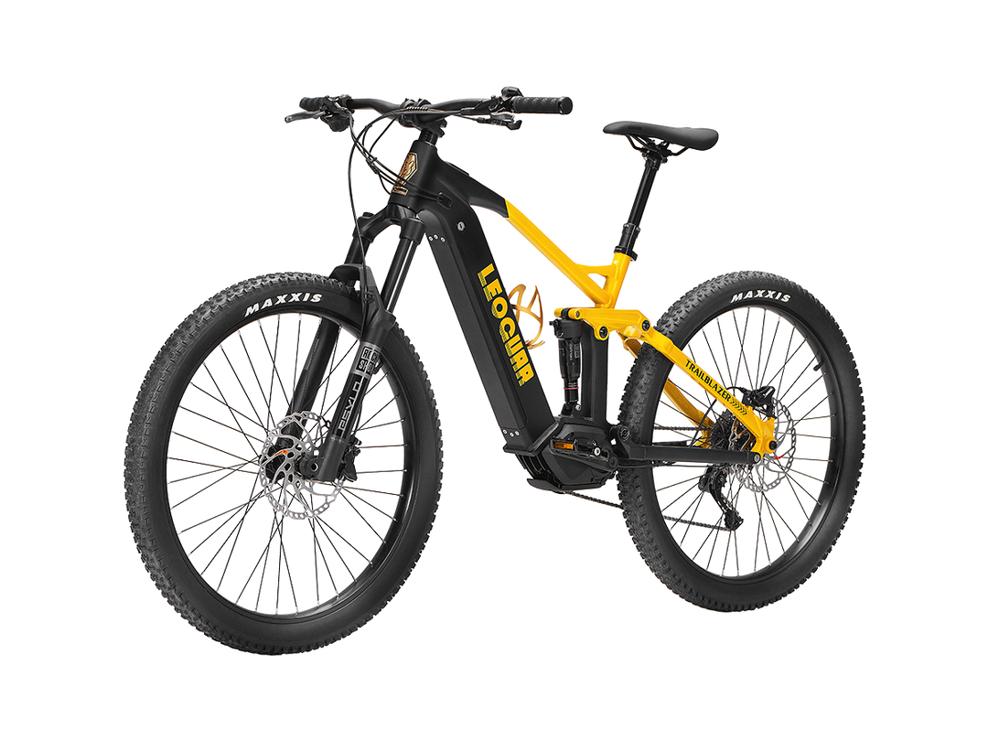 Trailblazer Mid-drive Motor EMTB1