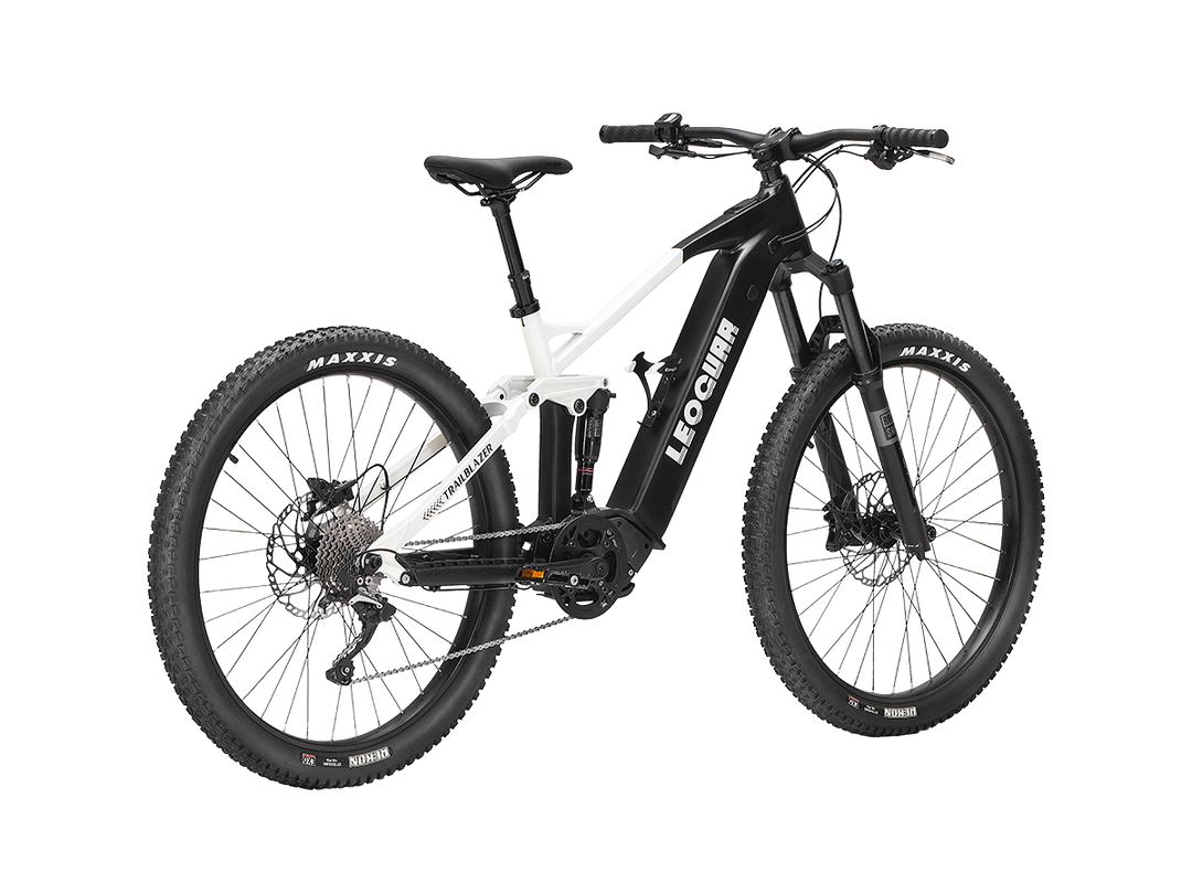 Trailblazer Mid-drive Motor EMTB1