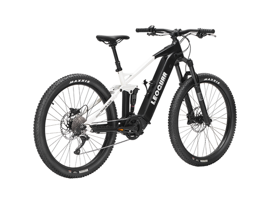 Trailblazer Mid-drive Motor EMTB1