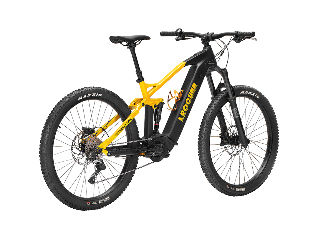 Trailblazer Mid-drive Motor EMTB1