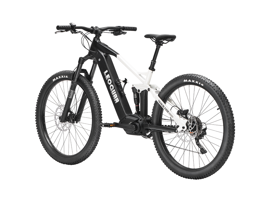 Trailblazer Mid-drive Motor EMTB1