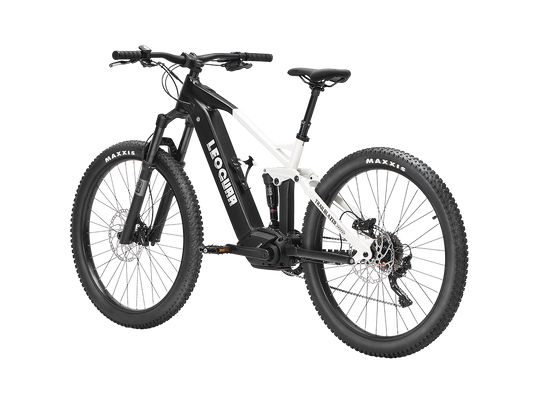 Trailblazer Mid-drive Motor EMTB1